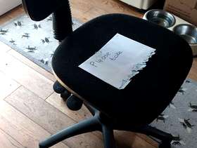 Freecycle Free office chair