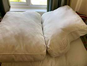Freecycle Sofa cushion backs