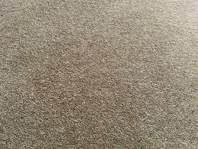 Freecycle New Piece of carpet