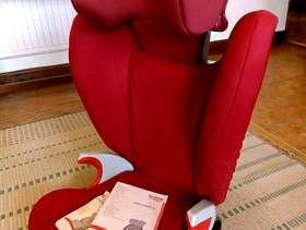 Freecycle Britax car seat