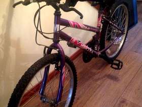 Freecycle Girls rio maxima bike