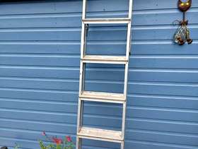 Freecycle Extendable Ladder