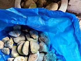 Freecycle Pebbles/stones