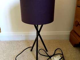Freecycle Lamp