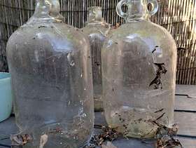 Freecycle 3 x Demijohn Bottles