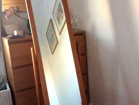 Freecycle Pine Cheval Long Mirror