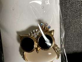 Freecycle Owl broach
