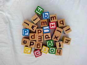 Freecycle Alphabet bricks