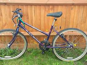 Freecycle FREE Ladies Raleigh Enigma Purple Mountain bike