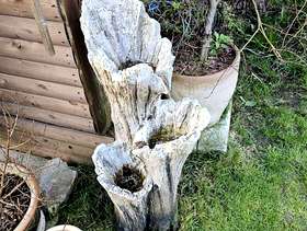 Freecycle Water feature