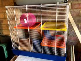 Freecycle Good-sized hamster cage