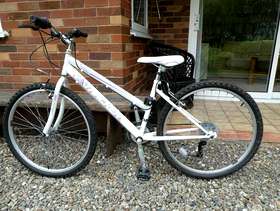 Freecycle Mountain bike