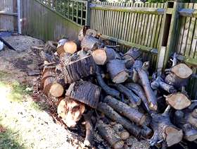 Freecycle FREE Logs-Collect from Watford