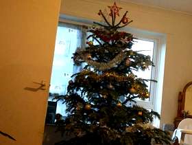 Freecycle Real Christmas tree