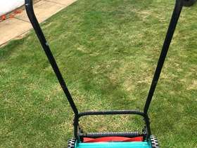 Freecycle Push mower
