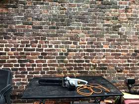 Freecycle Titan Electric Chainsaw