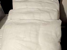 Freecycle Pillows x 4