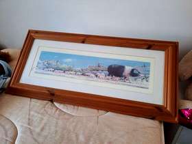Freecycle Pigpicture