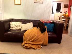 Freecycle Three seater brown leather sofa
