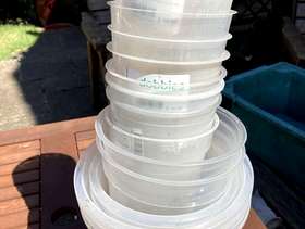 Freecycle Clear plastic Orchid pits