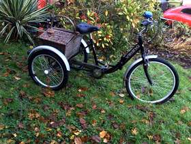 Freecycle Adult tricycle
