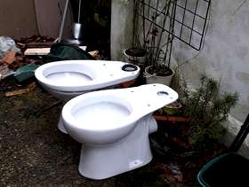 Freecycle Quirky loo planters