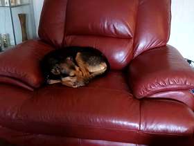 Freecycle Very comfy armchair