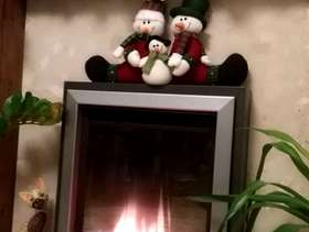 Freecycle TV 32", Regza Toshiba