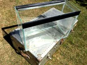 Freecycle Glass fish tank