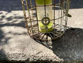 Freecycle Squirrel proof feeder