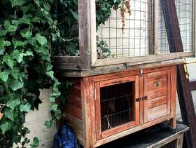 Freecycle Rabbit/Guinea Hutches and run