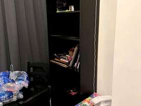Freecycle Book Shelf