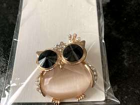 Freecycle Owl broach
