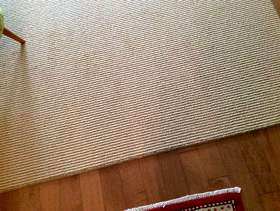 Freecycle Berberstyle neutral rug