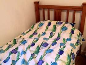 Freecycle 2 Single beds with mattresses