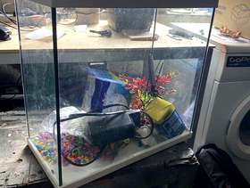 Freecycle Small fish tank