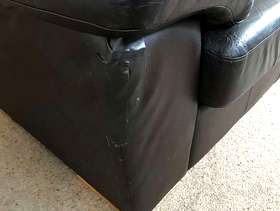 Freecycle Sofa