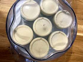 Freecycle Yogurt maker, moulinex, 6 glass pots, timer