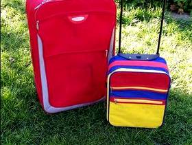 Freecycle Big and Small Suitcases