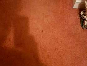 Freecycle Living room carpet