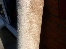 Freecycle Bedroom carpet