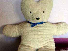Freecycle Large Teddy