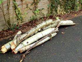 Freecycle Logs suitable for fire