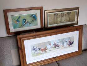 Freecycle 3 miscellaneous pictures