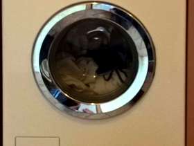 Freecycle Miele W Classic Clothes Washer