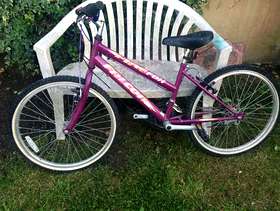 Freecycle Bike