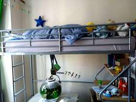 Freecycle High sleeper bed frame
