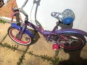 Freecycle Kids cycle