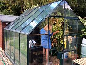 Freecycle 10x8 Green House
