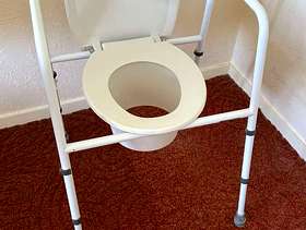Freecycle Raised toilet seat